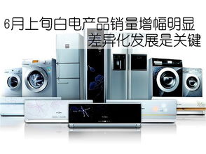 家電 現代家庭的得力助手